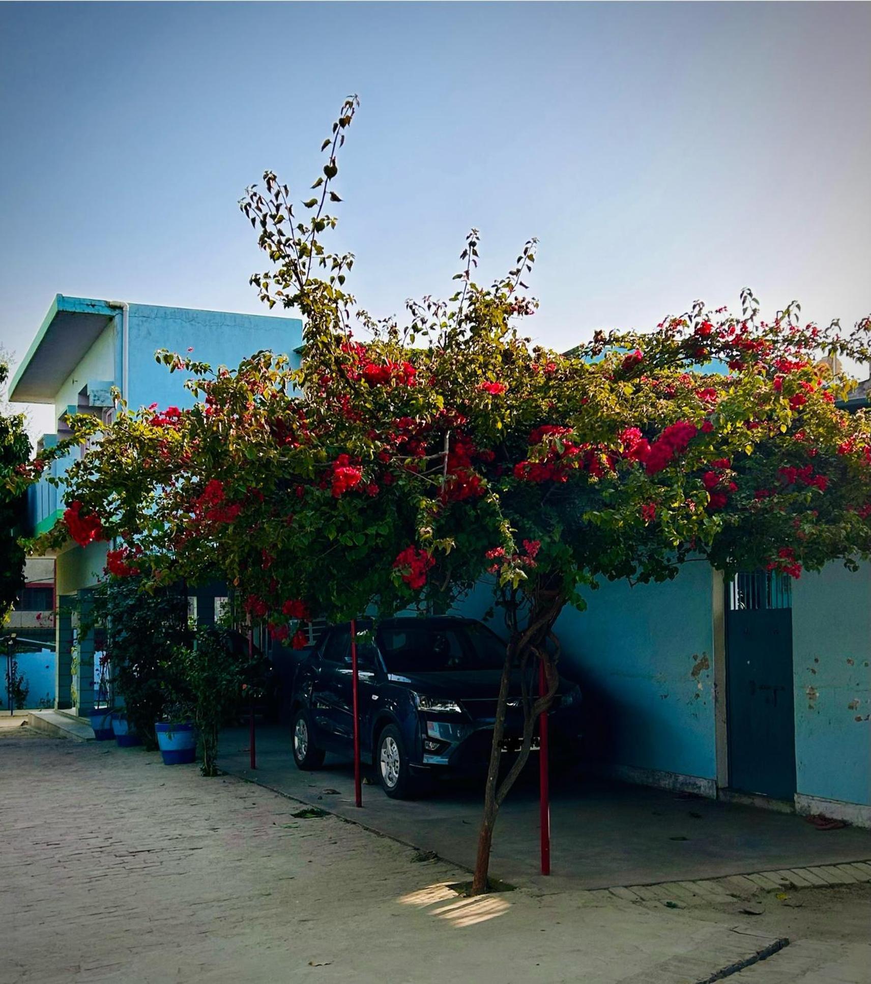 Gooseberry Garden Villa Ayodhya Exterior photo